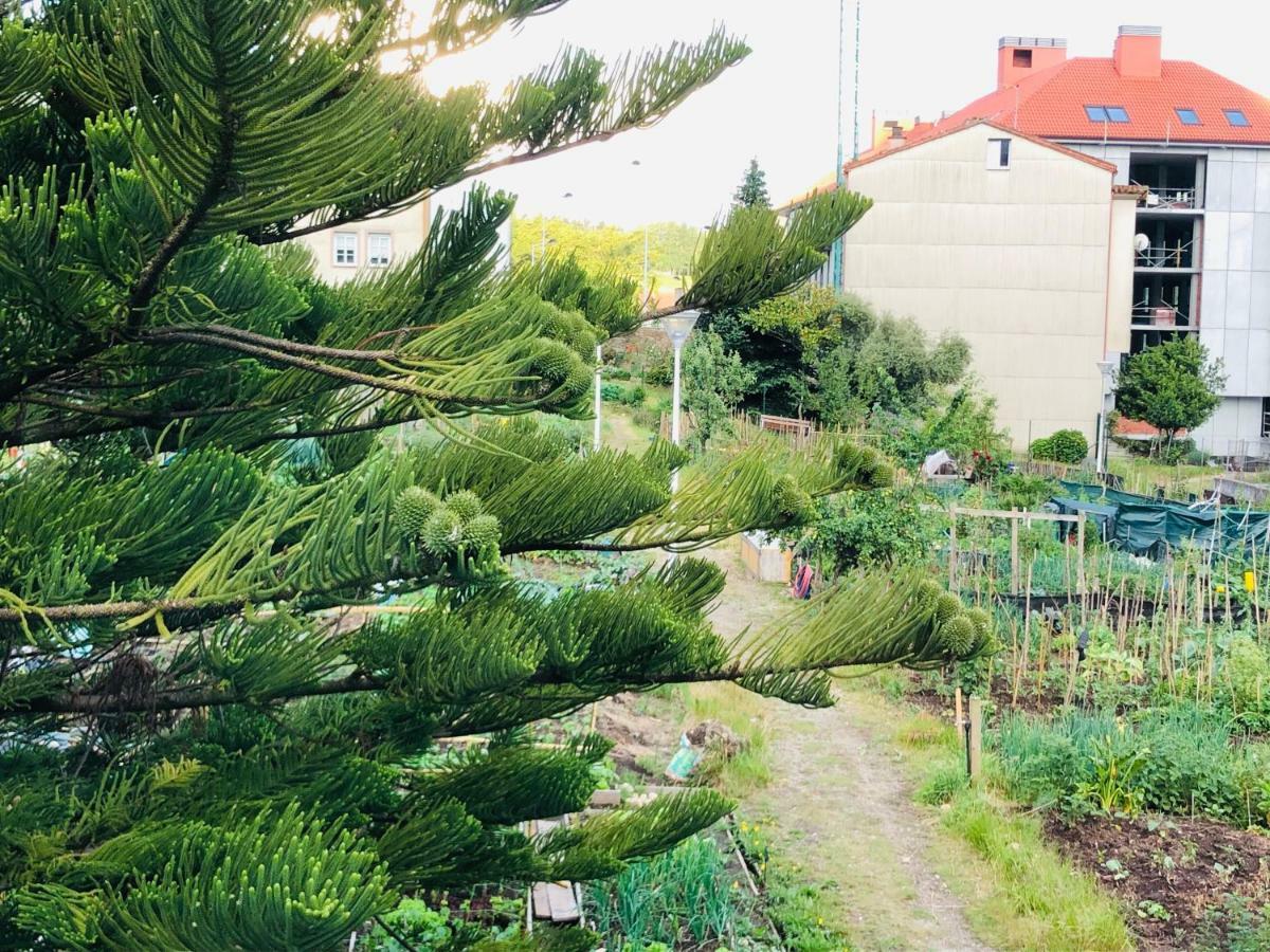 Albergue Sixtos No Caminho Santiago de Compostela Ngoại thất bức ảnh